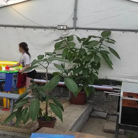 Holiday home Tisza 56 Vendeghaz Szeged